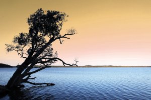 lake weyba | 5 of the best sunshine coast secret spots | HiRUM